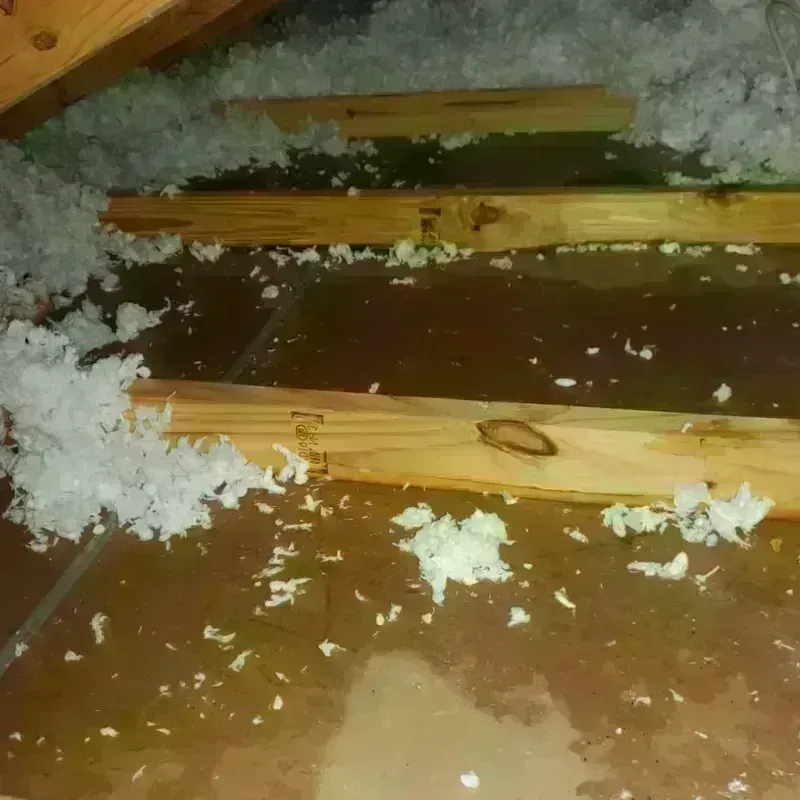 Attic Water Damage in Fairmont, MN