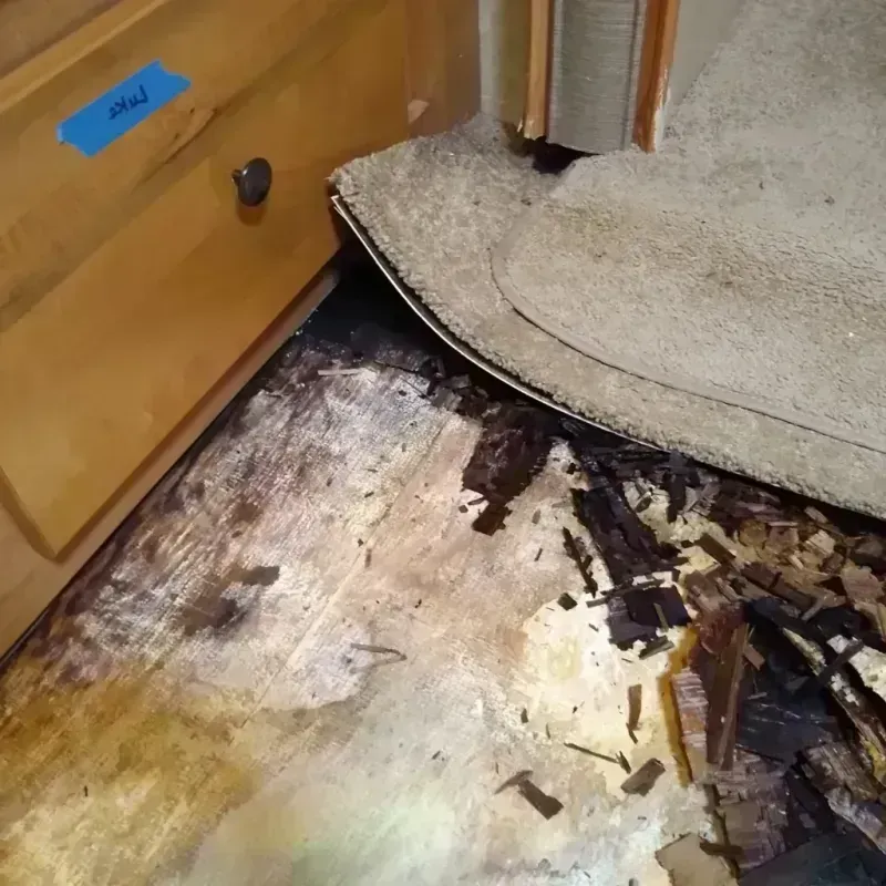 Wood Floor Water Damage in Fairmont, MN